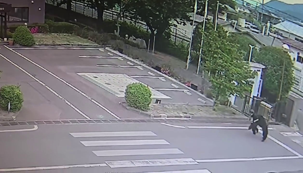 ▲黑熊闖福島市區！連傷4人闖工廠...1人重傷 市政府啟動緊急獵捕（圖／翻攝自 X）
