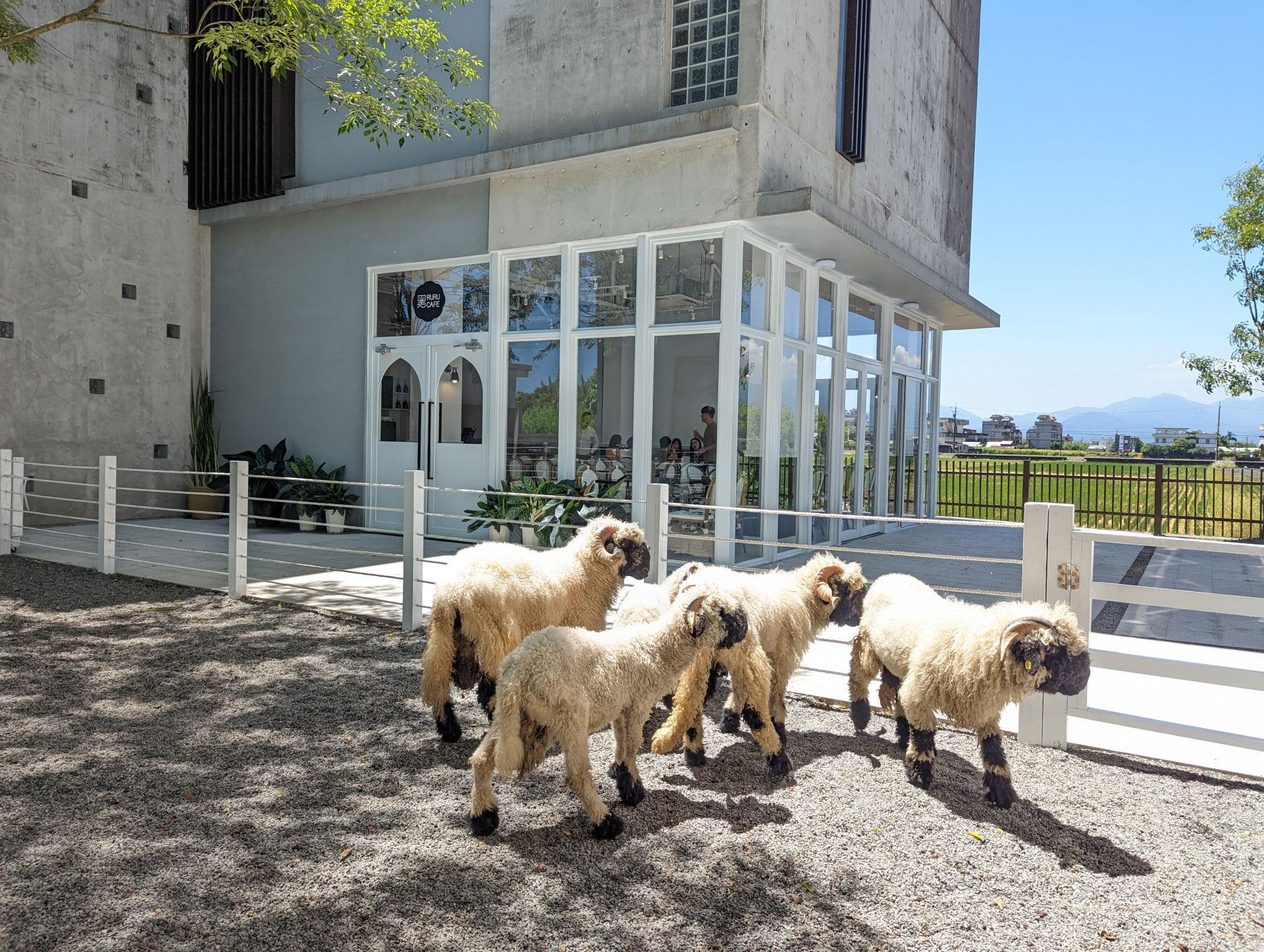 綠舞與斑比山丘推出聯賣住房專案。（圖／綠舞提供）