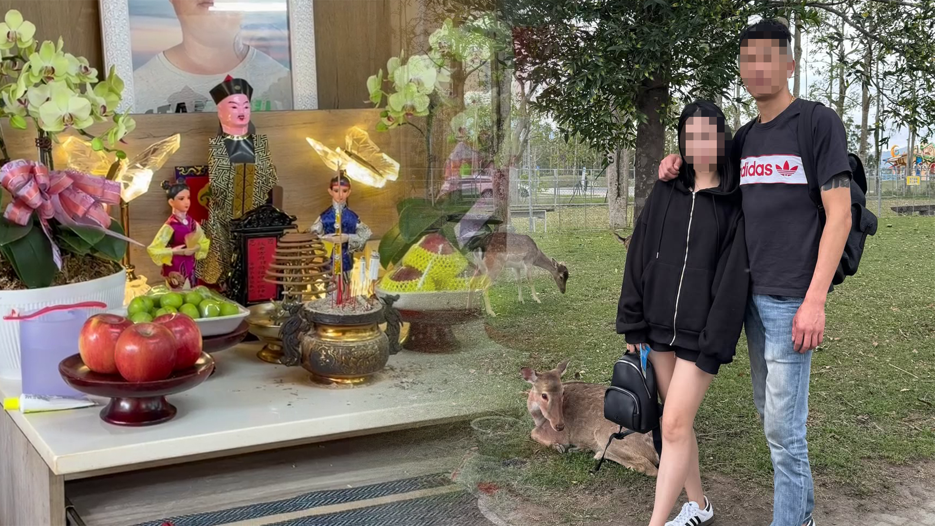 ▲BMW男撞死魚販家庭支柱！逃19h落網羈押禁見 妻IG曬一家四口幸福照超諷刺 （圖／記者王俊勝 翻攝、翻攝自趙妻個人社群）