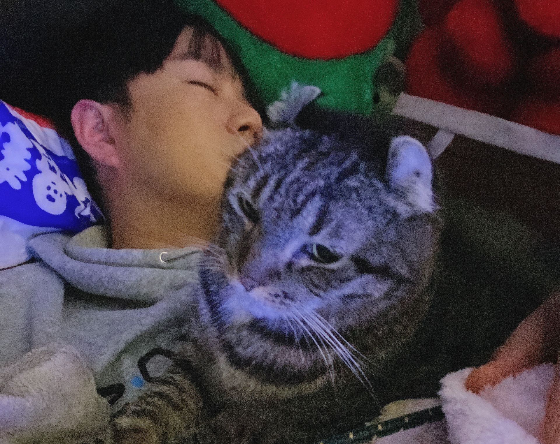 李岳三個月瘦15公斤，坦言桃花、工作運都變旺。（圖／種瓜得瓜工作室提供）