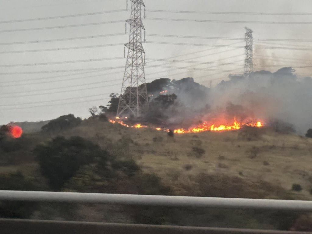 台中龍井火燒山！　延燒逾2小時火勢已控制 