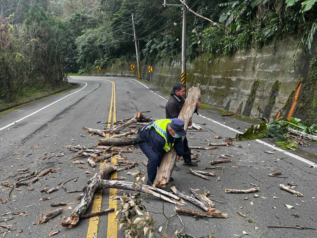 南庄道路邊坡枯木坍塌　員警到場清除交管　 