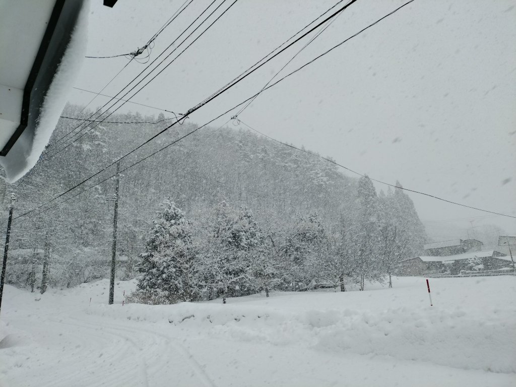 狂雪來襲！日本北部極端暴雪刷新記錄 青森酸湯積雪破508公分