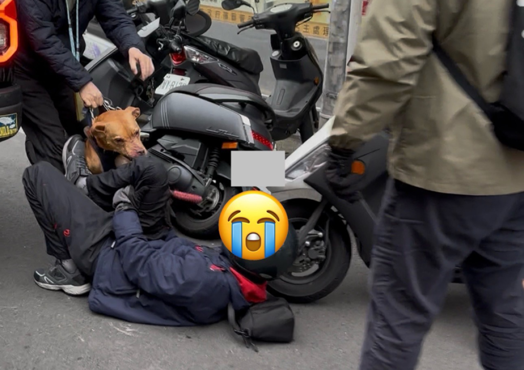 又是比特犬咬人！北市臥龍街路人遭攻擊　疑與日前咬騎士事件同一組人犬