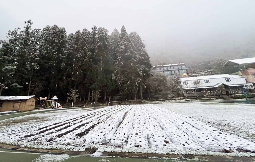 學校下雪了！  尖石飄雪  竹縣新光國小今停班停課