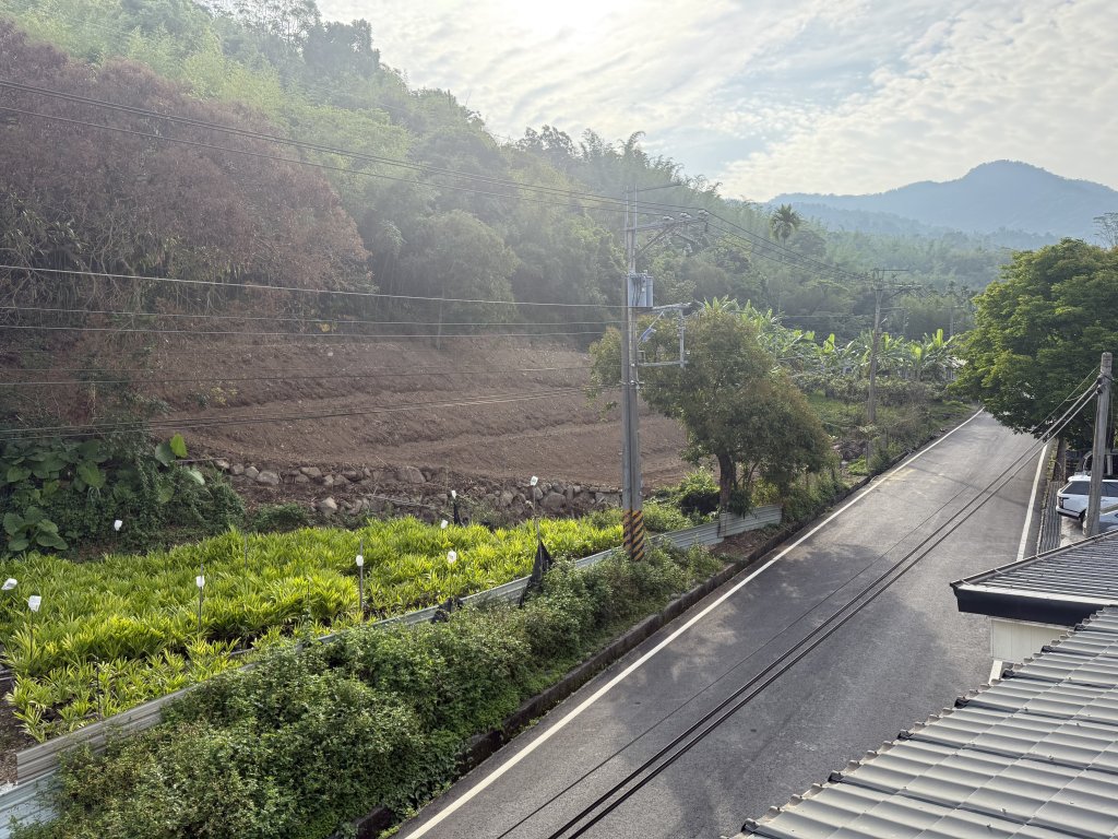 2025立夏節氣到！掌握六大開運養生法　四生肖要特別注意健康禁忌