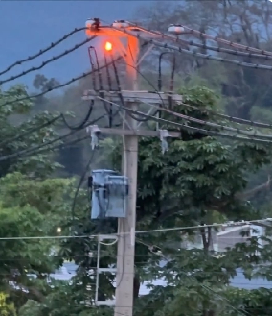 疑松鼠誤闖電網惹禍 高雄鼓山清晨電桿火花飛濺驚動居民