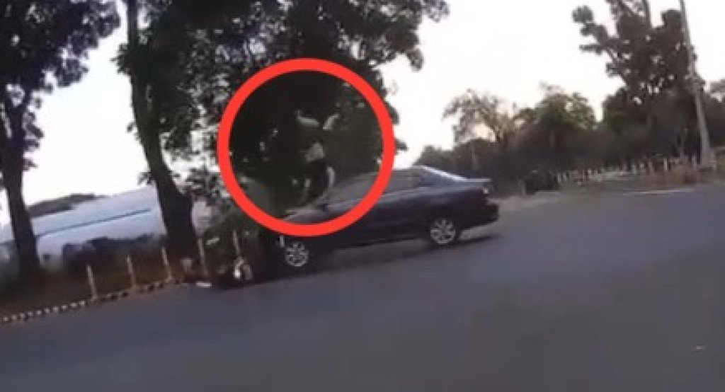 影／屏科大校內嚴重車禍！男學生挨撞「噴飛」緊急送醫