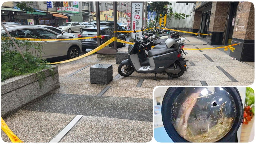 快訊／分手男女談寵物鼠歸屬  男一言不合刺死前女友