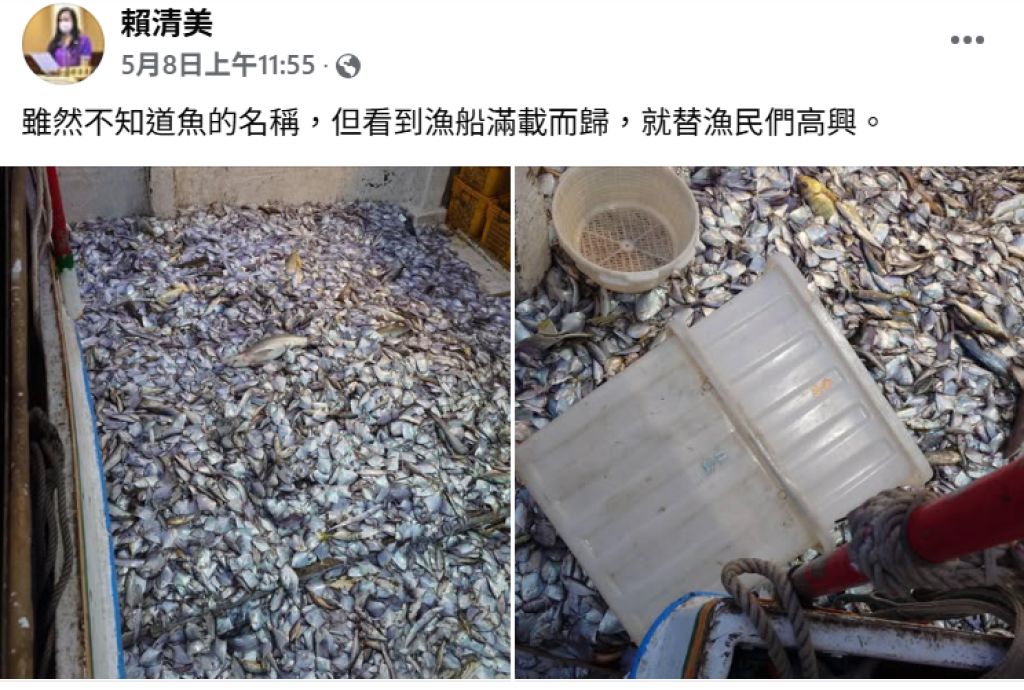 漁民濫捕魚苗彰議員臉書分享　遭網友炎上留言砲轟