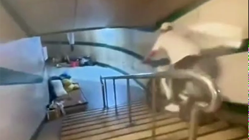 街頭特技秀？男騎單車地下道猛衝　網友喊：要設區間測速