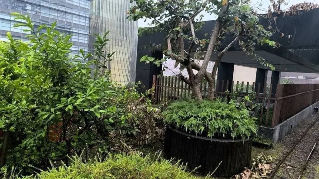 新光三越A8館空中花園驚見園藝工人陳屍　疑高溫下病發致死