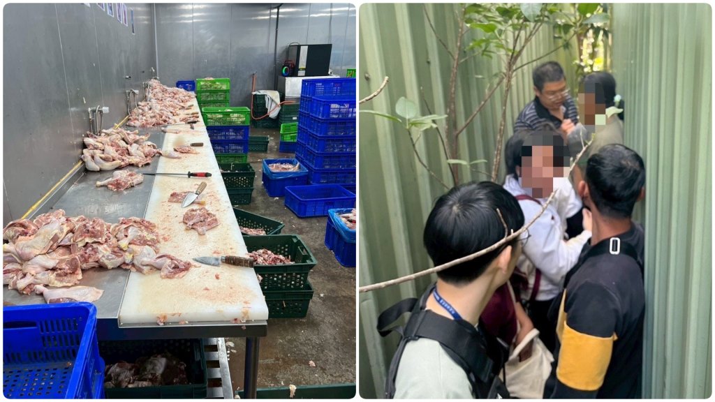 棄雞逃逸！  非法移工躲鐵皮牆夾縫「一線天」  遭壓榨時薪僅80元