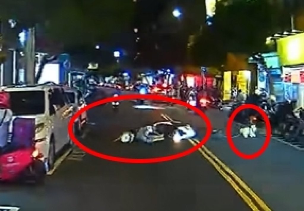 寵物搭車沒防護！狗狗掉落路中　機車重心不穩人仰狗翻