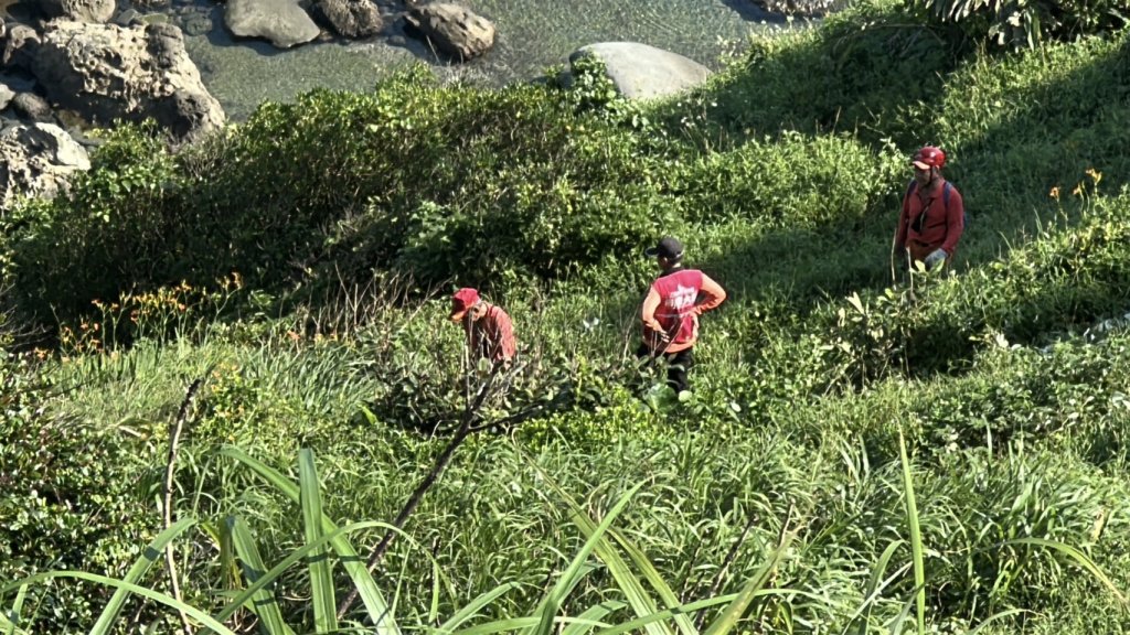離奇！北市6旬婦失蹤10日　基隆八斗子忘憂谷下方尋獲命懸邊坡