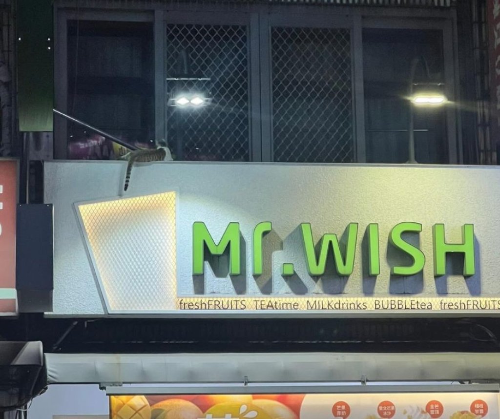 貓咪尾巴成「吸管」 Mr. WISH ：送乾糧慰勞員工