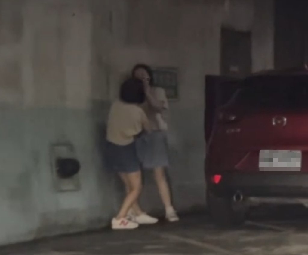 雪隧內母女衝突！　互將對方手機丟出車外車避車彎打架