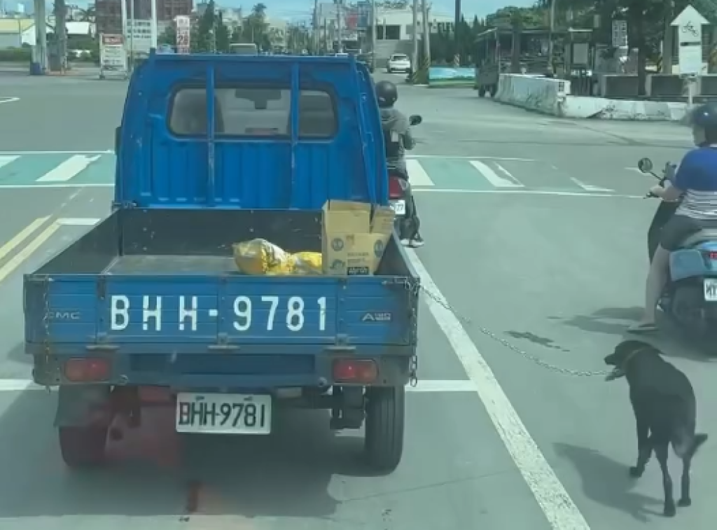 影／小黑犬被貨車拖行！目擊者不捨「狗狗喘成這樣」　怒向彰化動防所通報