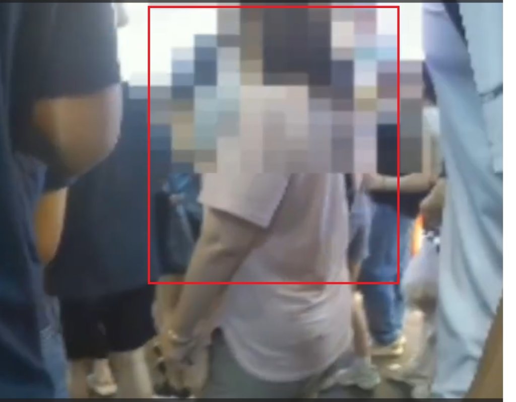 逢甲夜市女扒手落網！ 　栽在「夜市所長」手裡