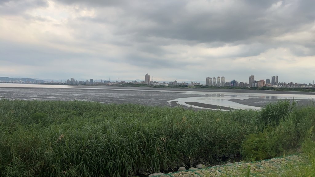 外籍移工微風運河抓螃蟹想加菜　驚見6旬翁陳屍濕地爛泥中