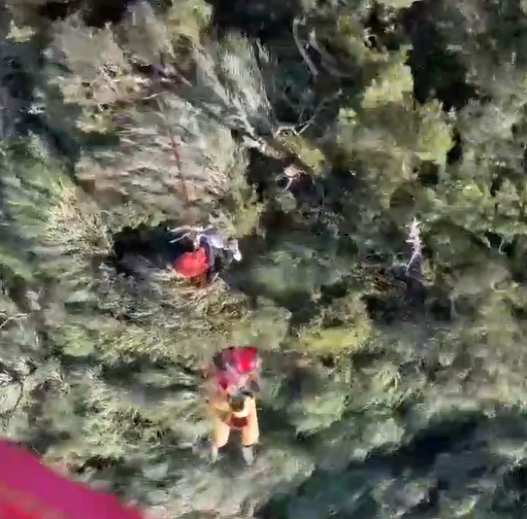 有片／好忙！搜救隊救援男獨攀彎刀縱走缺水求救　再發現6旬婦摔落北大武山邊坡