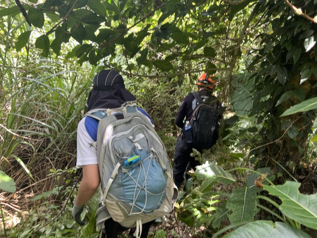 新北男子登山被蜂螫傷求救　消防局2次定位找到人帶下山送醫