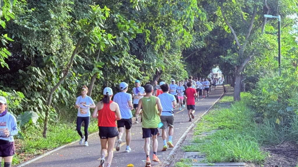 荔枝半程馬拉松熱力開跑　跑者馳騁潭雅神綠園道賞荔枝美景