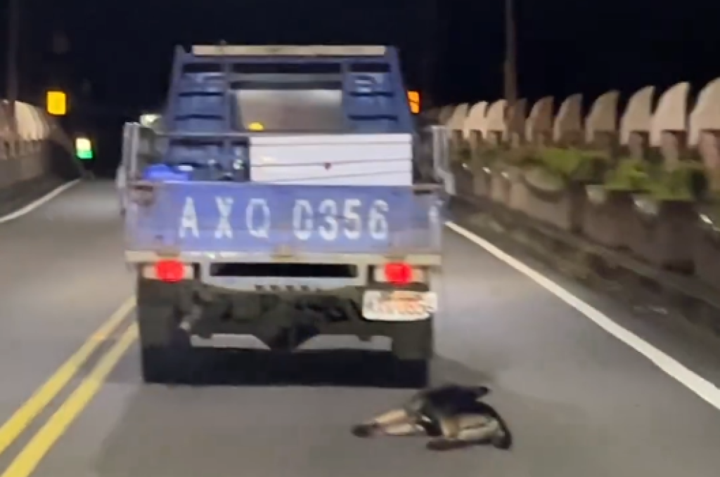 影／小貨車拖行狗狗！沿路「貼地摩擦」動彈不得　後車目擊急攔下