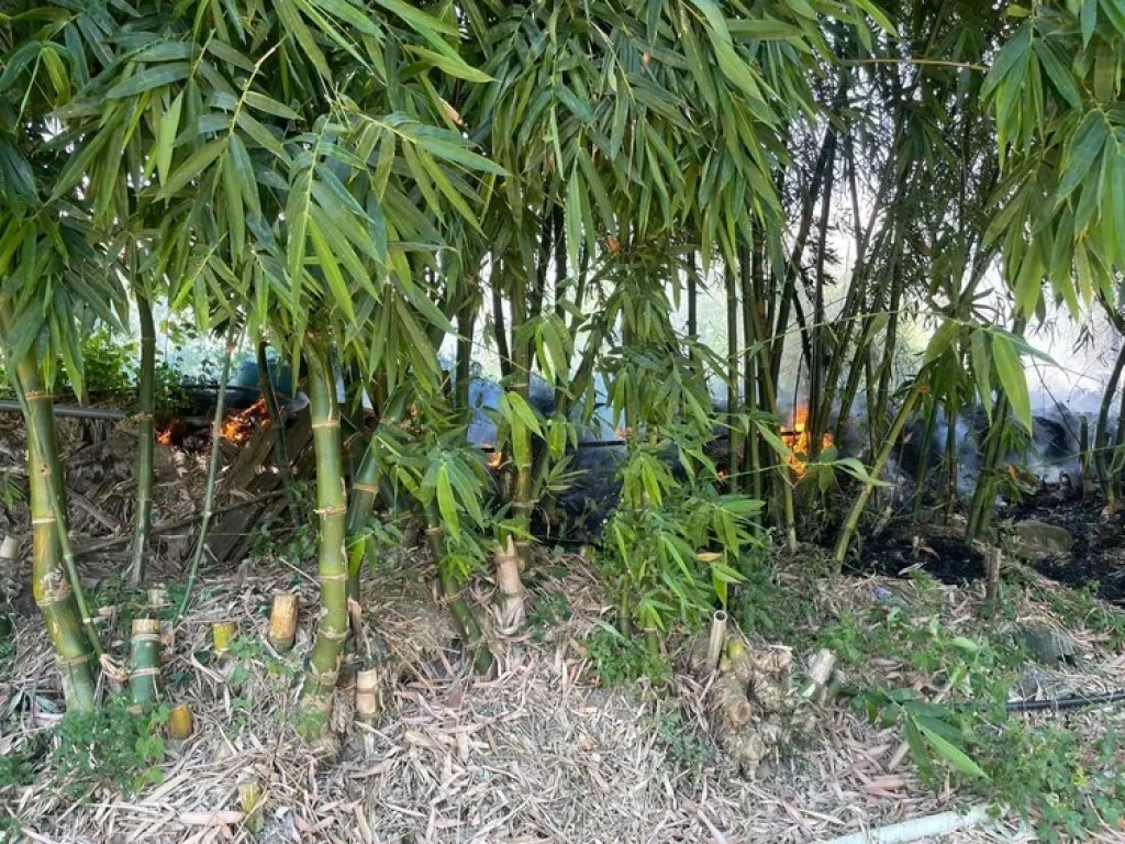 快訊／北市社子島路旁樹林起火　警消撲滅驚見焦屍
