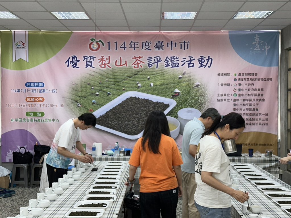梨山好茶評鑑結果出爐！628組茶樣競技，陽鎮宇奪特等獎