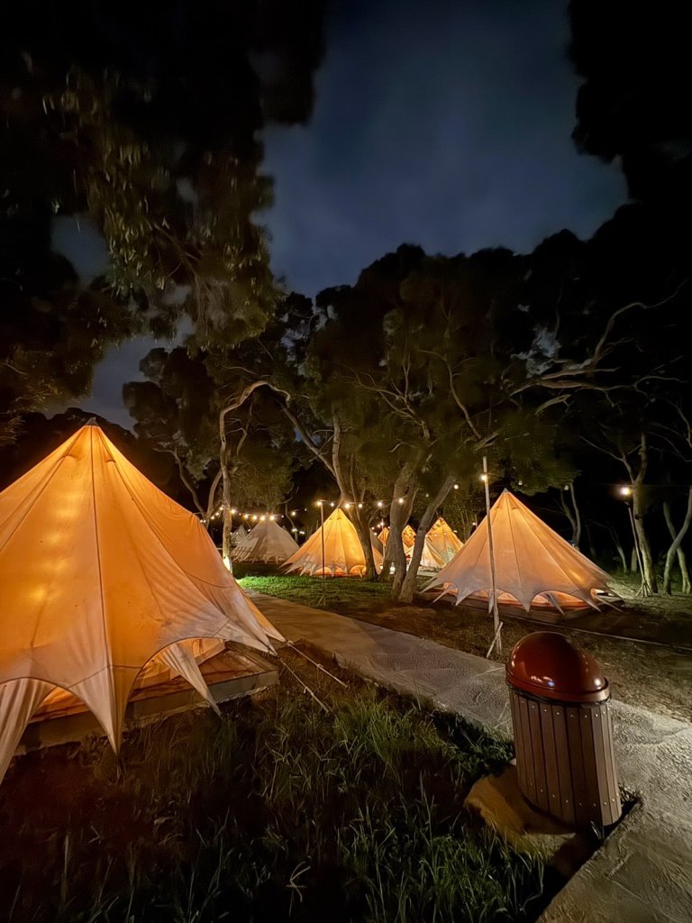 免費停車＋親子寵物友善！大甲鐵砧山「踏親」餐廳週年慶 暑假玩好玩滿
