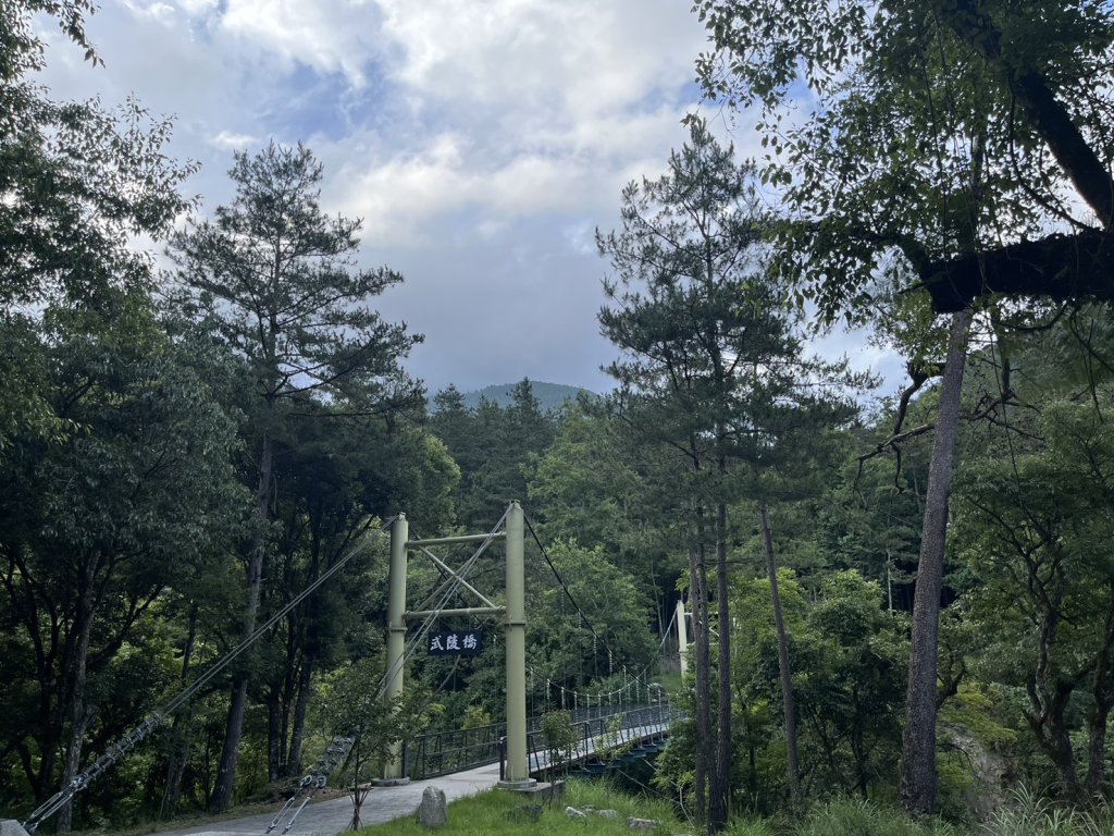 快訊/丹娜絲颱風來襲!大雪山、八仙山、武陵森林遊樂區7/6起預警休園