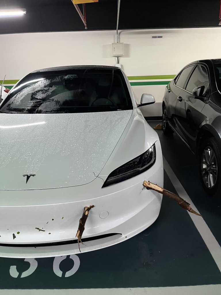 特斯拉慘遭「颱風木叉」攻擊　Model 3車主嘆：車牌也離家出走了