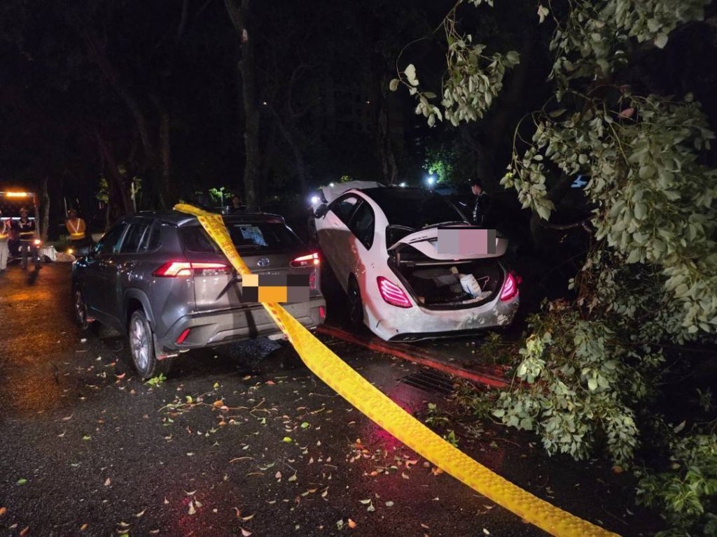 下車休息遇死劫　多元計程車司機遭賓士撞飛30公尺倒臥草叢亡