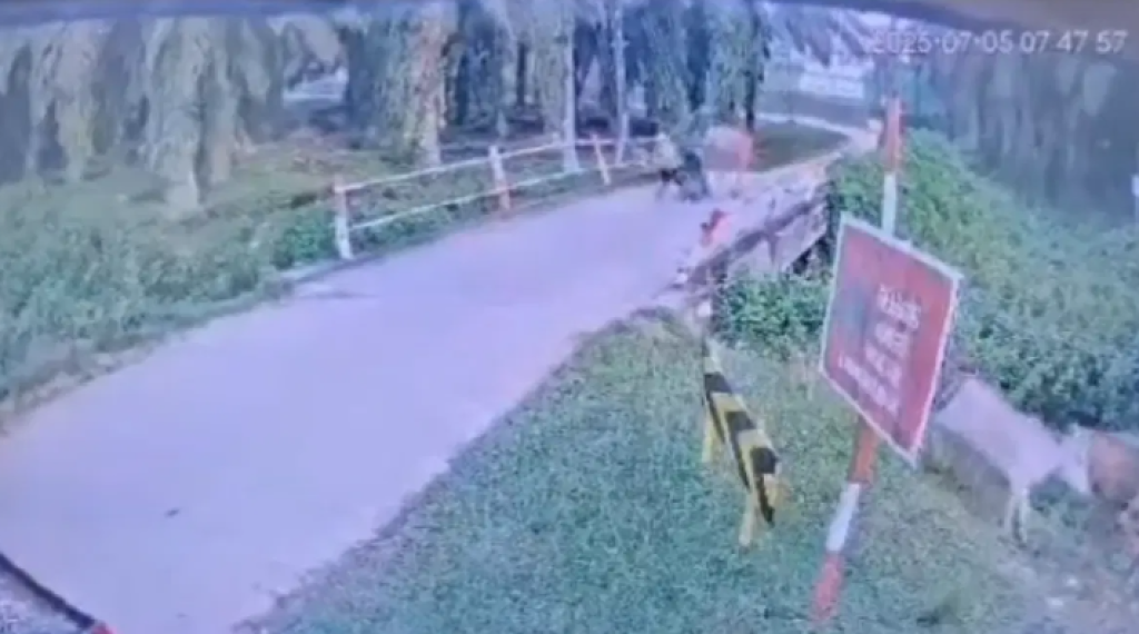 影／騎士突被牛踹飛！掉下橋墜落倒河灘身亡　驚悚事發影片曝光