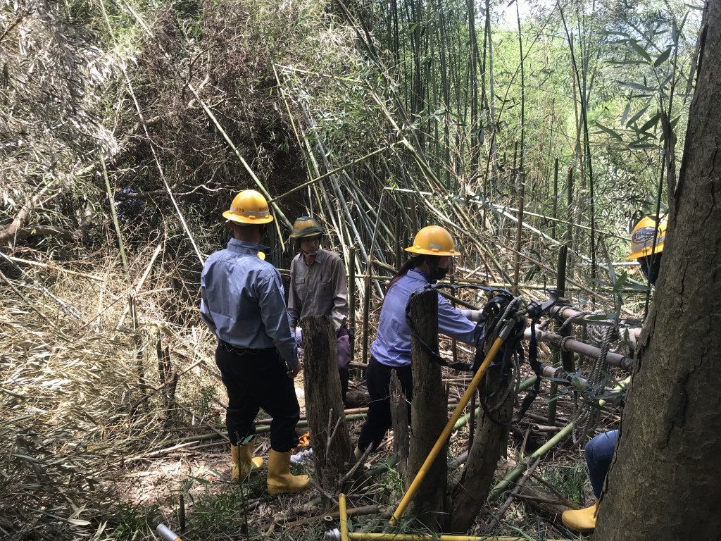 普發現金每人1萬元　台電撥補遭刪 政院示警恐衝擊電價與民生