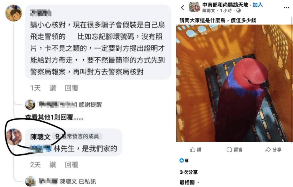 爆料／假冒失主領鳥！慣犯冒領鸚鵡轉賣 鳥友肉搜揭露惡行