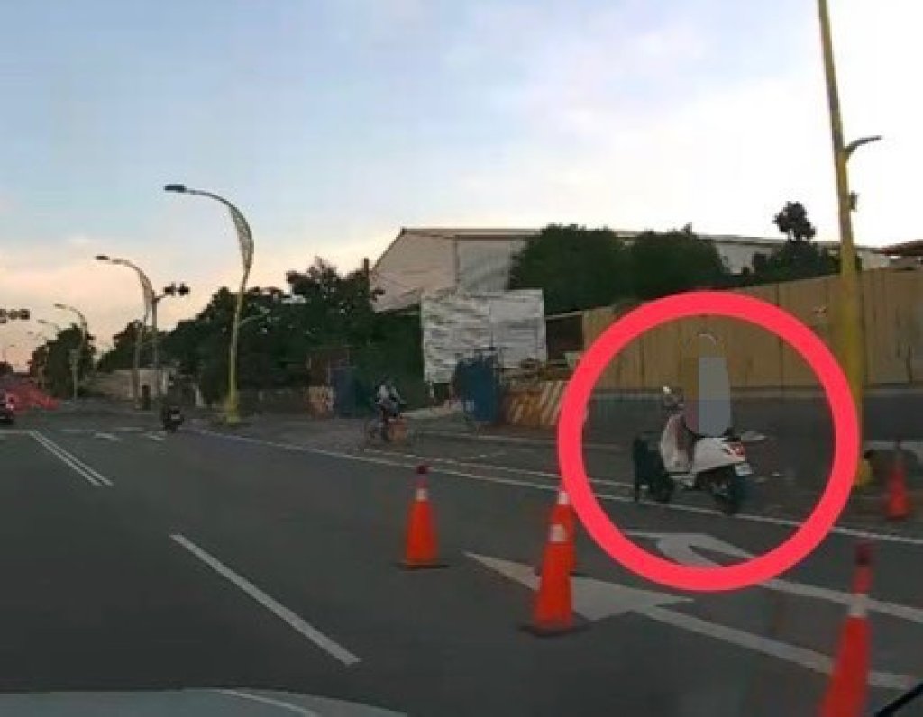 花蓮黑狗闖禍！ 　路邊突竄出害機車騎士摔倒受傷