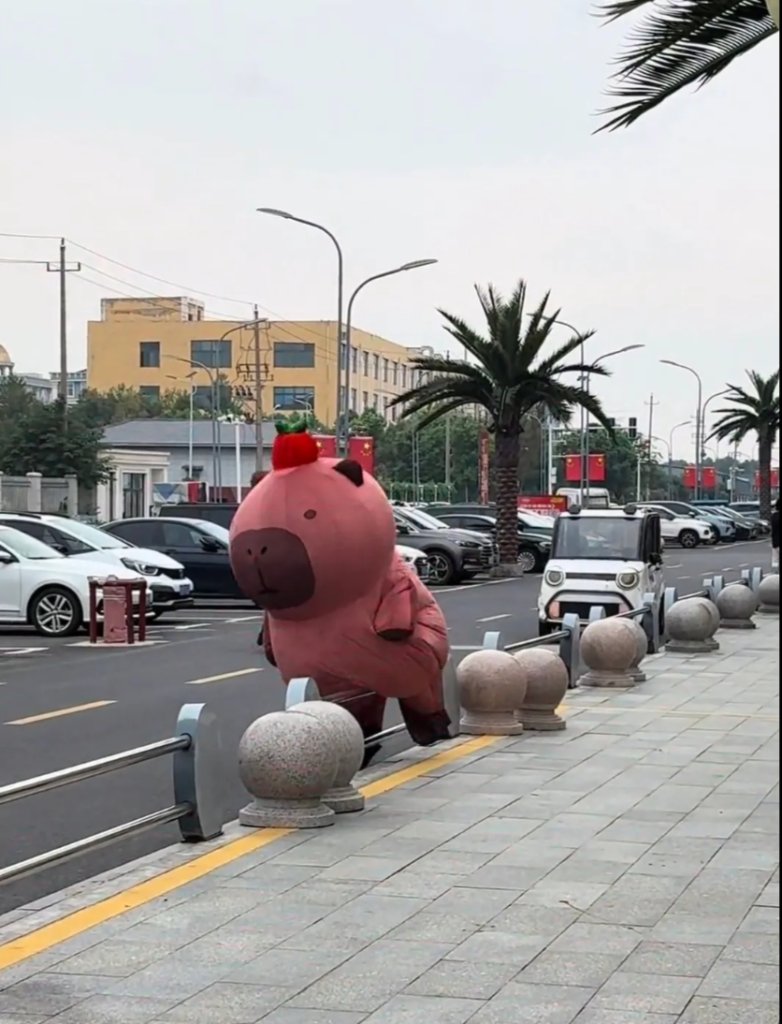 卡皮巴拉「卡蛋」現場！鴨鴨突衝欄杆　人偶跨欄慘撞下體笑翻66萬人