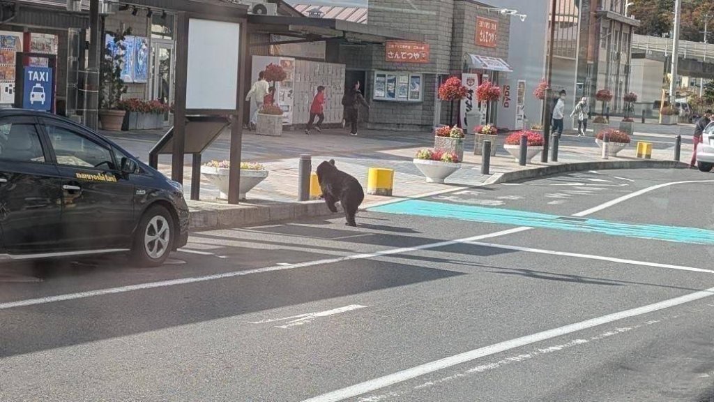 黑熊闖進日本岩手縣宮古車站　路人嚇到拔腿狂奔