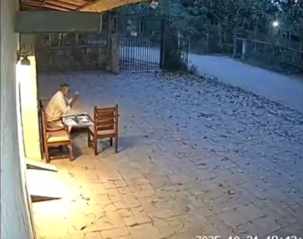 影／印度男遭老虎攻擊「咬脖叼走」影片瘋傳引恐慌　當地政府查核是假的「AI生成」