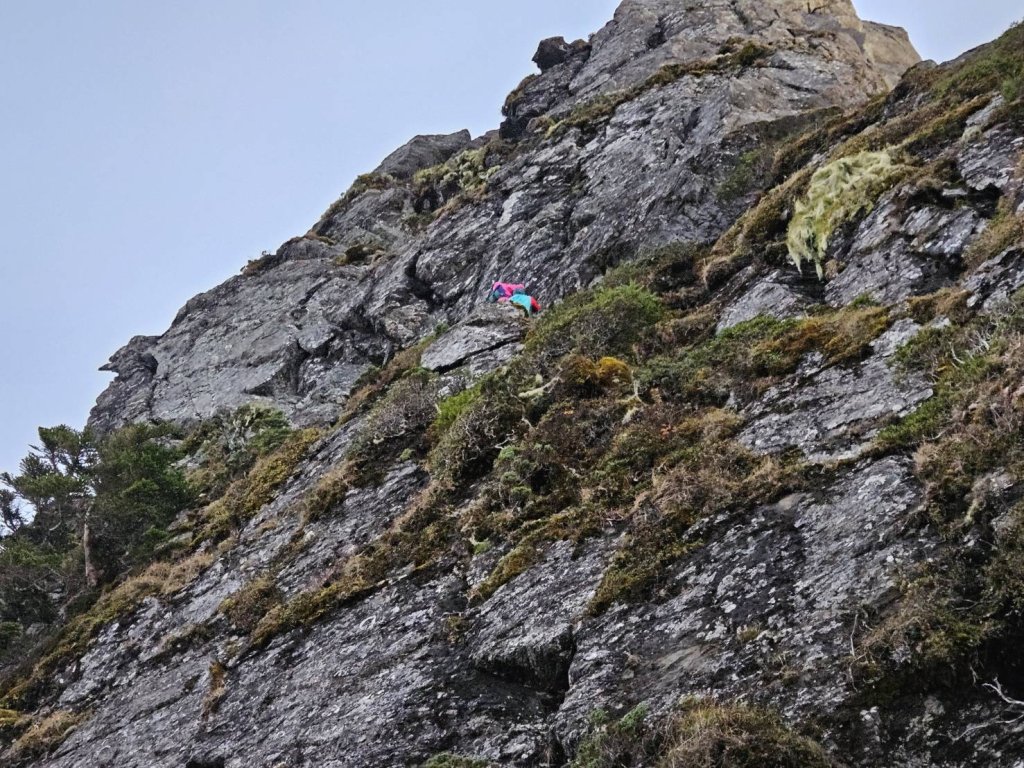 登山變「命懸一線」！女山友受困關山岩壁　空、地上演山難大營救