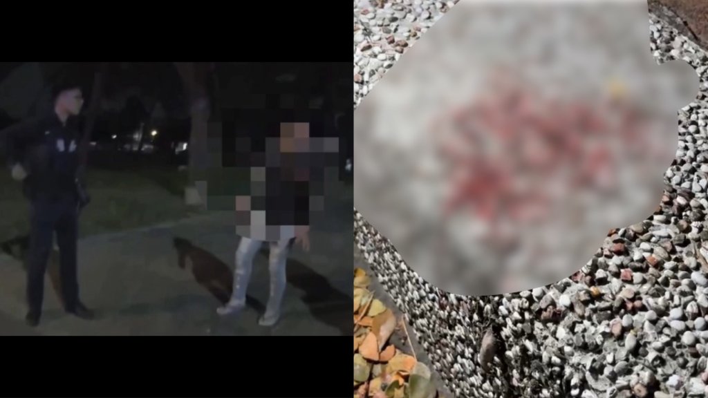 快訊／折疊刀傷3人！高雄深夜4打3「地板留血跡」