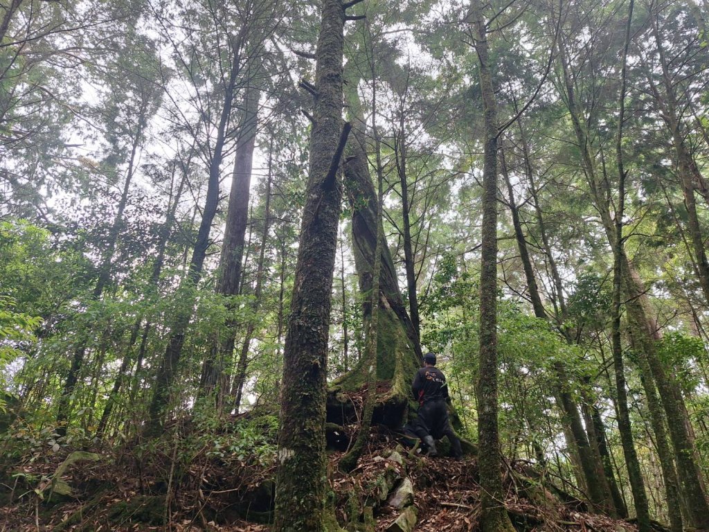 不出國也能爽玩！5大國旅補助一次看　住一晚最高領2000元