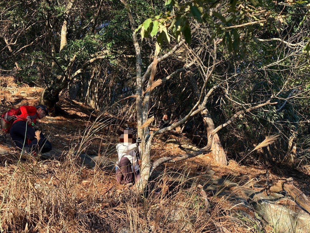 驚險！ 69歲婦滑落步道下方30米邊坡　幸被樹卡住獲救