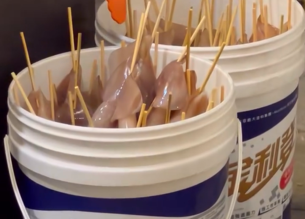 影／高雄《下酒祭》攤販「水泥漆桶裝退冰小卷」！影片網路瘋傳　老闆出面回應了
