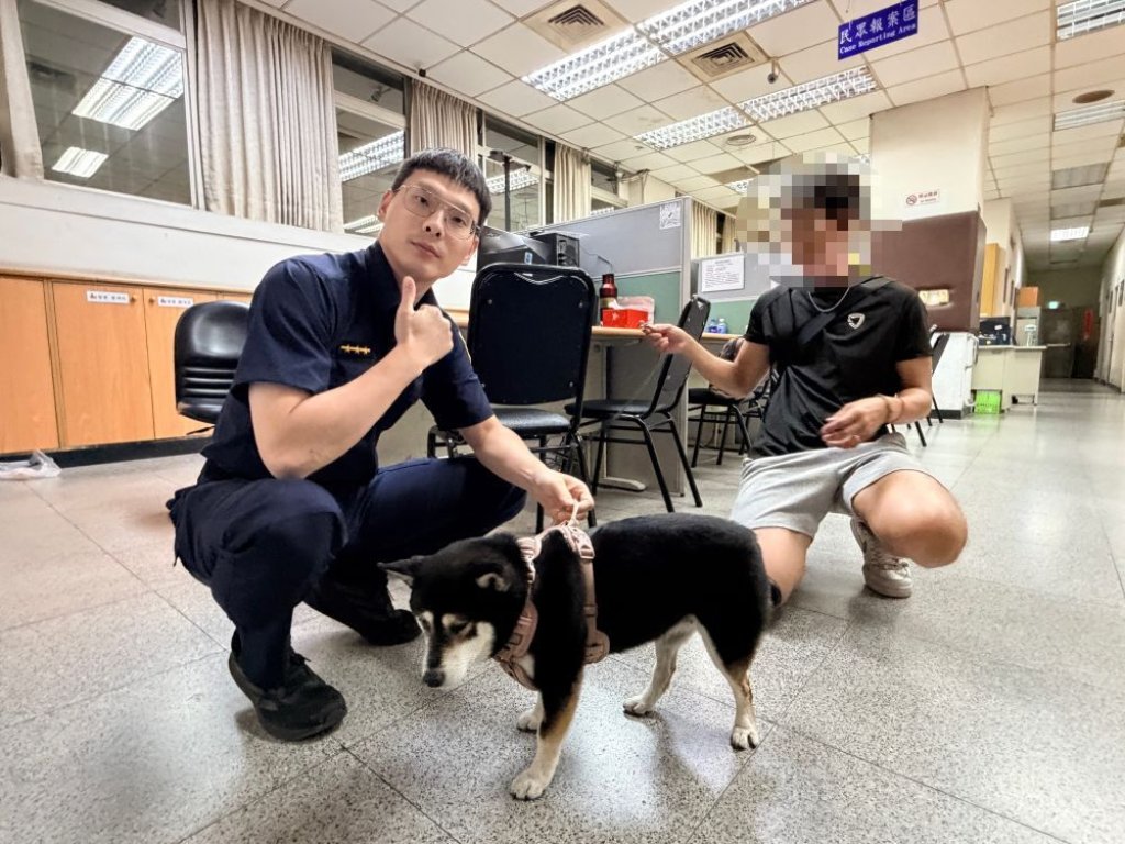 「連貓都會欺負」黑柴走失！牠被大學生尋獲　一見主人秒撲撒嬌