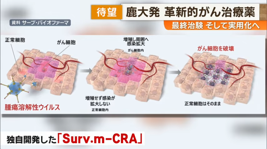 影／劃時代癌症治療藥！日本開發只會破壞癌細胞的病毒　進入最終臨床試驗階段