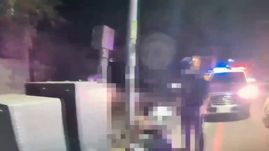 家族房產糾紛！台南男清晨酒後持雙刀衝赤崁街　全場合力制伏…3人掛彩送醫