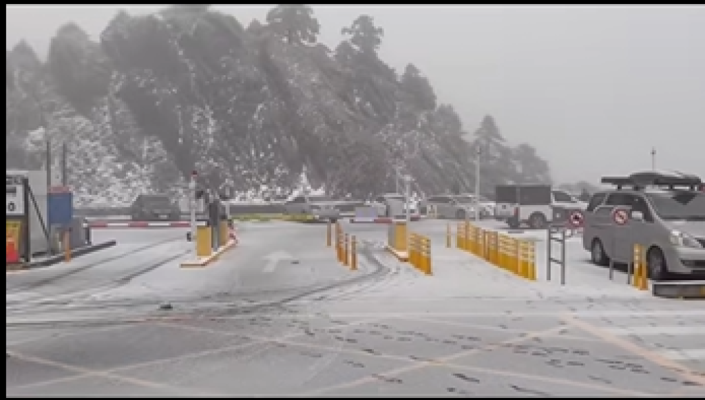 合歡山清晨降雪！武嶺停車場鋪滿白雪　追雪族堆出冰雪小鴨